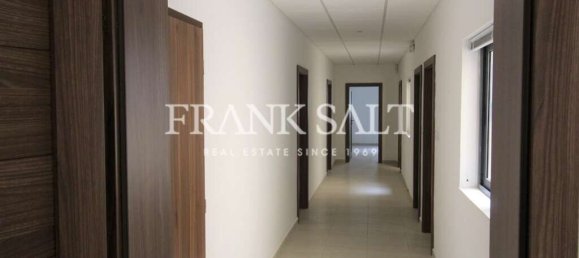 160m² Office in Pieta, Malta No. 12175 30