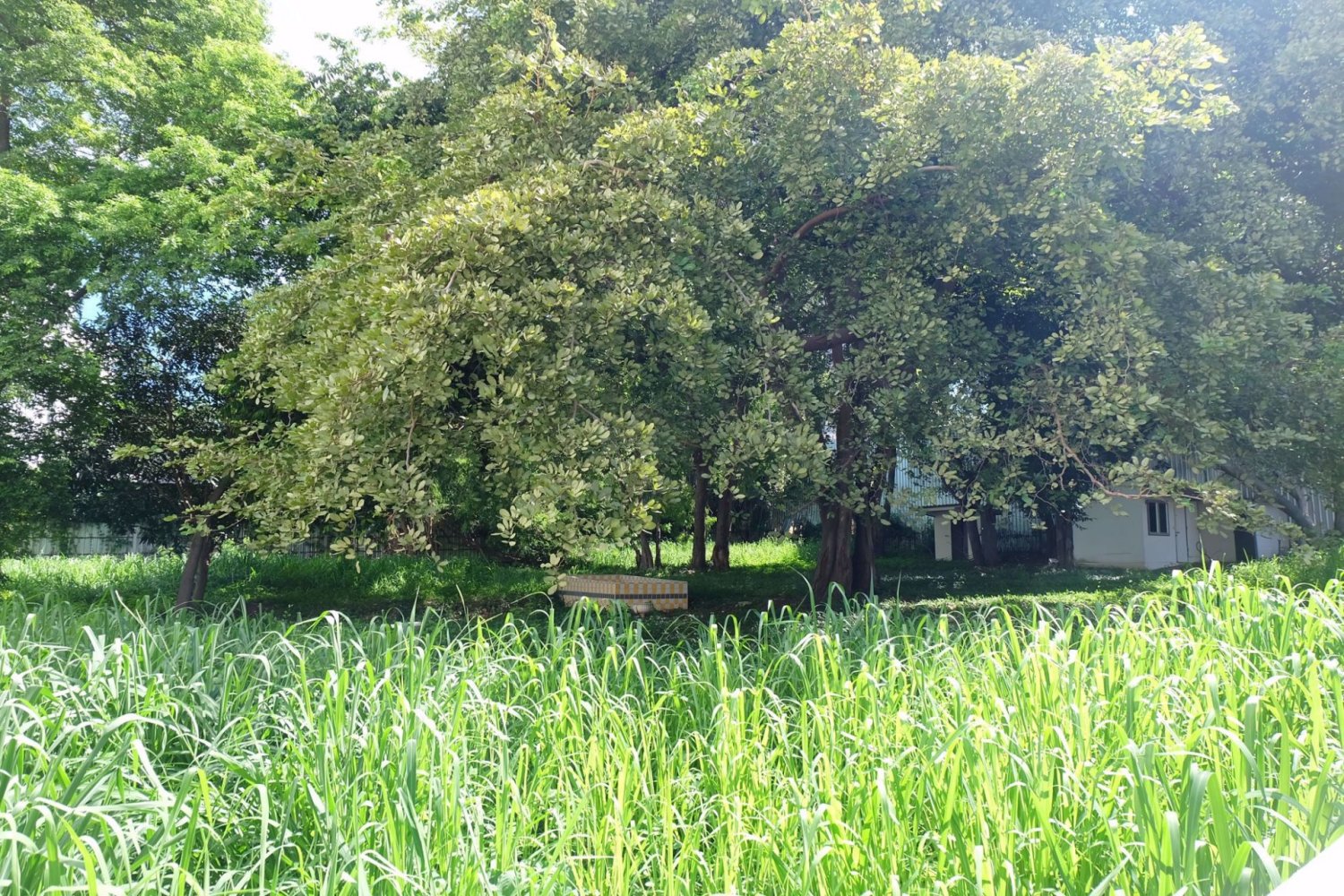 Gewerbliche Immobilie in Pattaya, Thailand, Nr. 1833