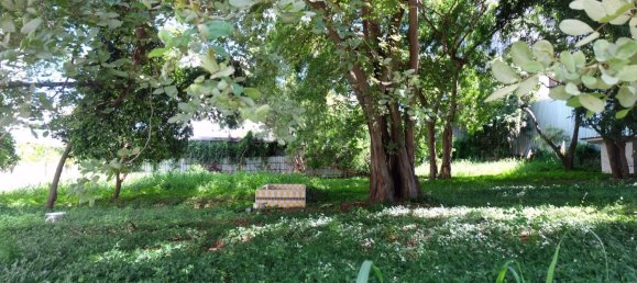 Gewerbliche Immobilie in Pattaya, Thailand, Nr. 1833 2