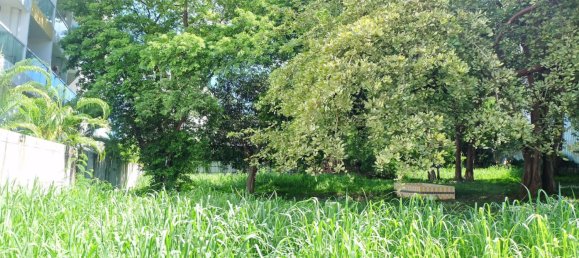 Gewerbliche Immobilie in Pattaya, Thailand, Nr. 1833 3