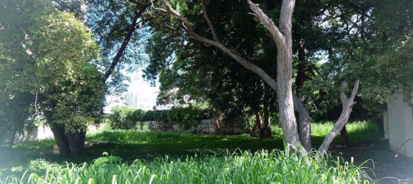 Gewerbliche Immobilie in Pattaya, Thailand, Nr. 1833 5