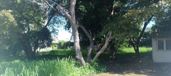 Gewerbliche Immobilie in Pattaya, Thailand, Nr. 1833 4