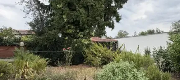 6-Zimmer Stadthaus in Bad Dürkheim, Germany, Nr. 363388 20