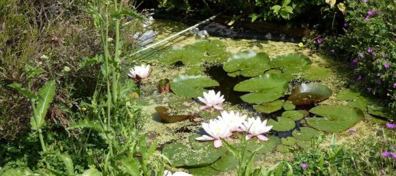 4 rooms Townhouse in Zwickau, Germany No. 254499 7