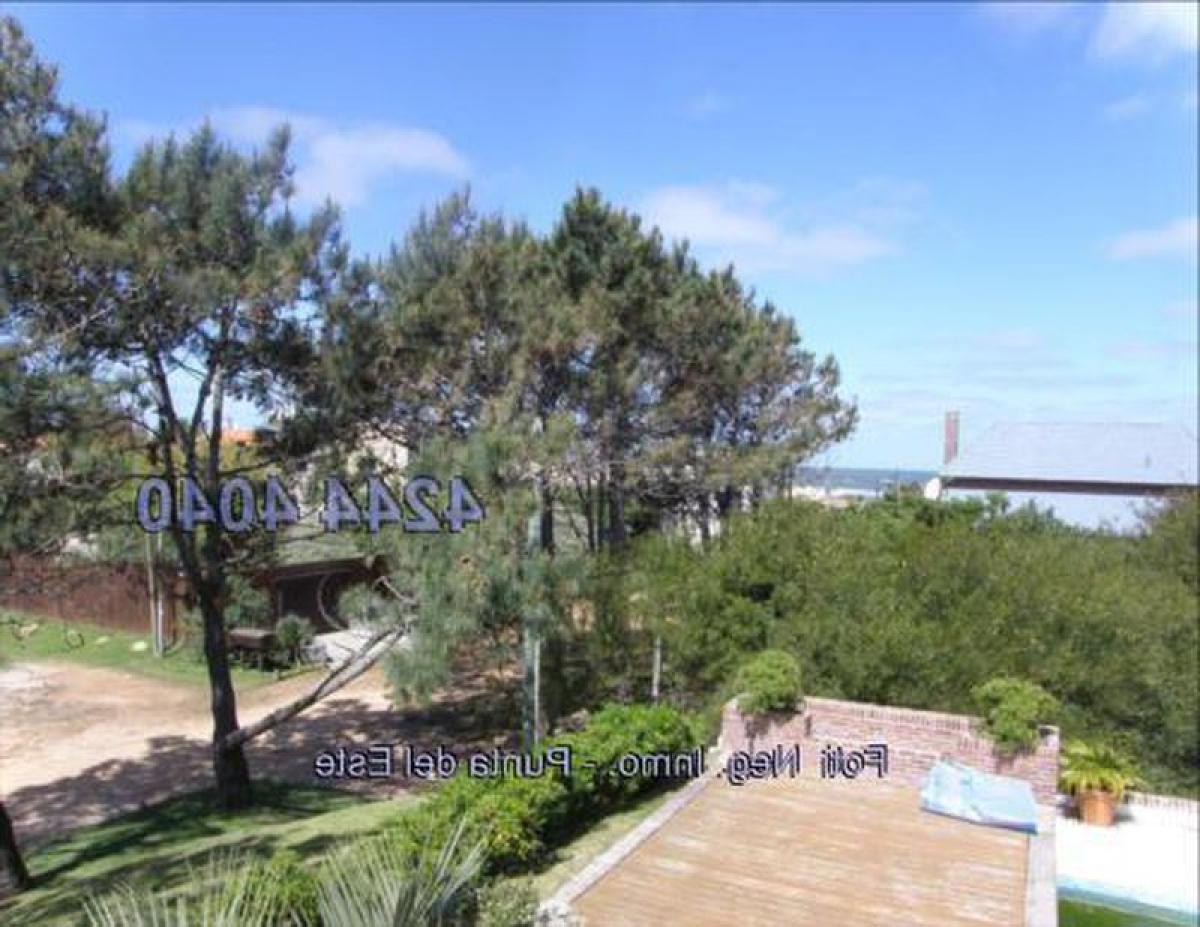 5 bedrooms House in Maldonado, Uruguay No. 5258