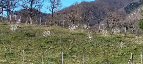 13 rooms House in Vergato, Italy No. 254864 14