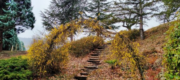 13 rooms House in Vergato, Italy No. 254864 11