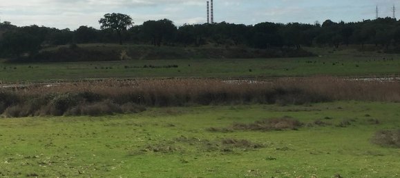 قطعة أرض في Setubal, Portugal 159999متر مربع رقم 119305 12