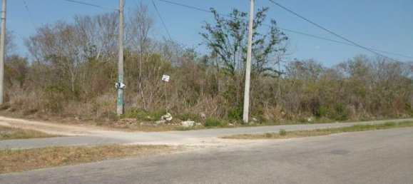 Terreno en Mérida, Mexico No. 116282 2