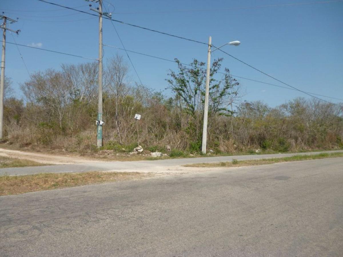 Terreno en Mérida, Mexico No. 116282