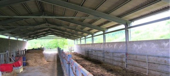 Studio in Lisciano Niccone, Italy No. 1394 3