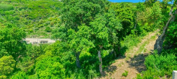  Land in Bastia, France No. 92113 3