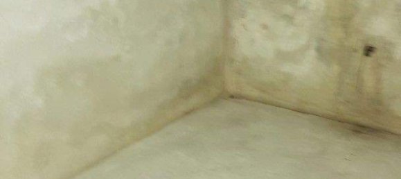 5 rooms Townhouse in Brunn am Gebirge, Austria No. 239976 2