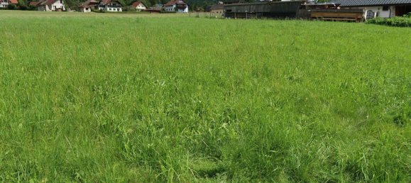  قطعة أرض في Admont, Austria 1336متر مربع رقم 76777 3