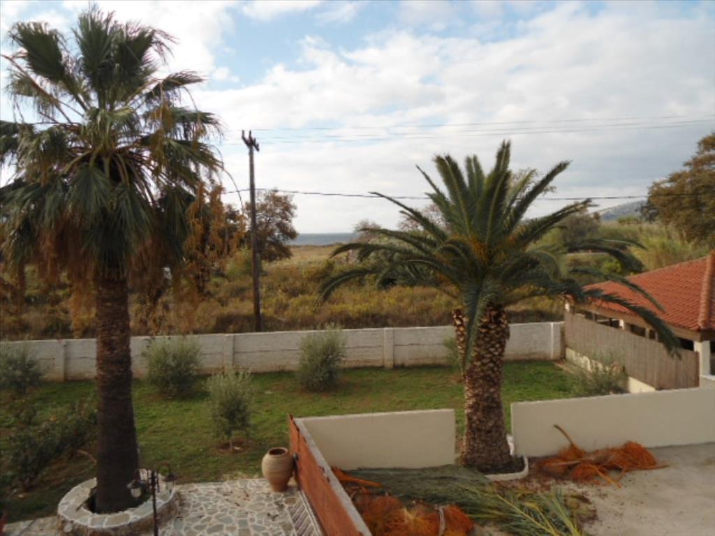 2 bedrooms Apartment in Euboea, Greece No. 122185