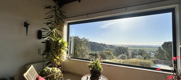 5 bedrooms House in Chamusca, Portugal No. 144121 6