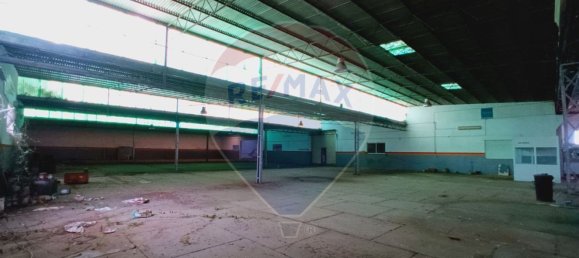 Склад 2655м² в Понти ди Сор, Португалия № 50037 13