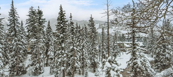 Café/restaurante de 3 dormitorios en Vail, USA No. 560309 2