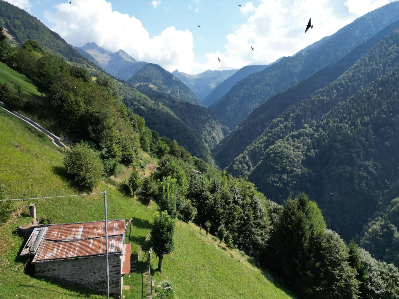 3غرفة منزل في Albaredo per San Marco, Italy رقم 336457