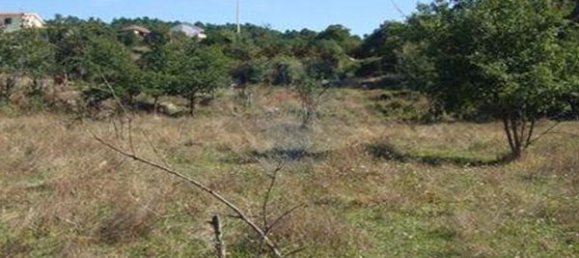 2600m² Land in Viseu, Portugal No. 48385 3