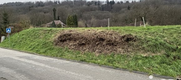 Terrain à Ernolsheim-lès-Saverne, France 722m² No. 43399 3