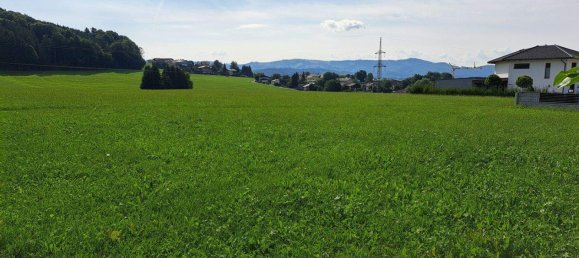 Grundstück in Köstendorf, Austria, Nr. 222657 2