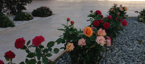 3 Schlafzimmer Haus in Pissouri, Cyprus, Nr. 6636 3