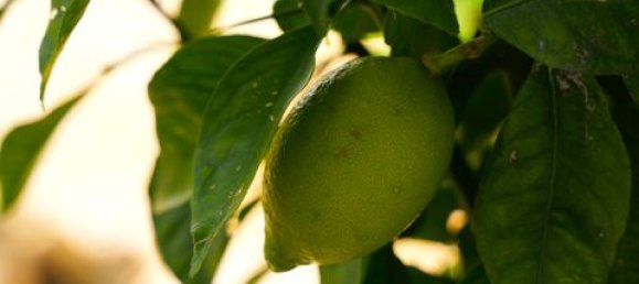 4 bedrooms Villa in Lagos, Portugal No. 147493 37