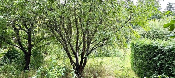 3غرفة تاون هاوس في Vorpommern-Greifswald, Germany رقم 257391 4