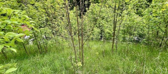 2342m² Land in Aspangberg-St. Peter, Austria No. 164048 5