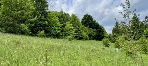 2342m² Land in Aspangberg-St. Peter, Austria No. 164048 6