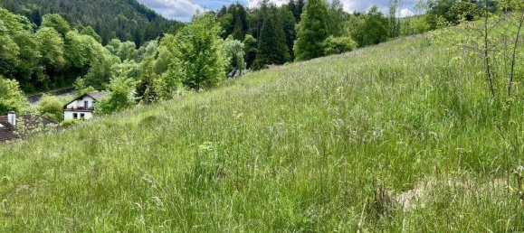 2342m² Land in Aspangberg-St. Peter, Austria No. 164048 9