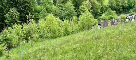 2342m² Land in Aspangberg-St. Peter, Austria No. 164048 8