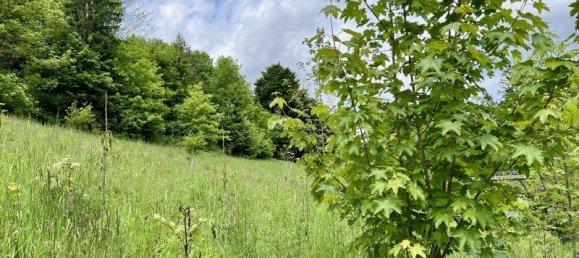 2342m² Land in Aspangberg-St. Peter, Austria No. 164048 4