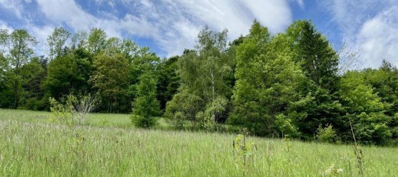 2342m² Land in Aspangberg-St. Peter, Austria No. 164048 3