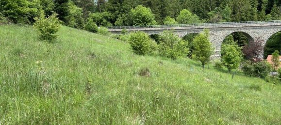 2342m² Land in Aspangberg-St. Peter, Austria No. 164048 7