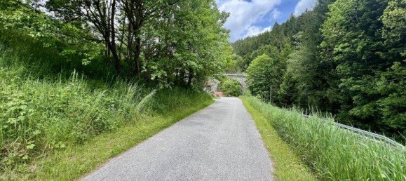 2342m² Land in Aspangberg-St. Peter, Austria No. 164048 11