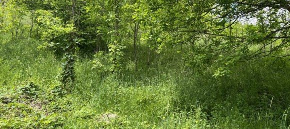 2342m² Land in Aspangberg-St. Peter, Austria No. 164048 2