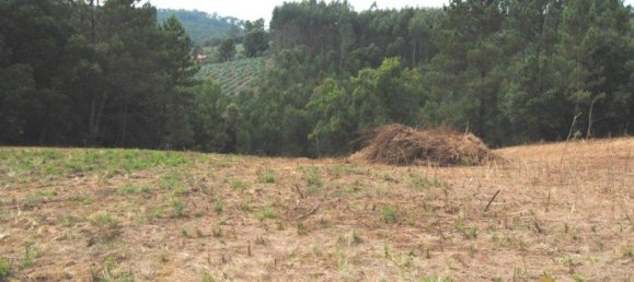 Terreno en Alvorninha, Portugal 9279 m² No. 81776 8