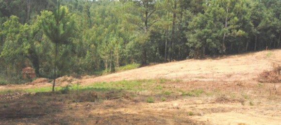 Terreno en Alvorninha, Portugal 9279 m² No. 81776 9