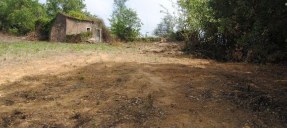 Terreno en Alvorninha, Portugal 9279 m² No. 81776 7