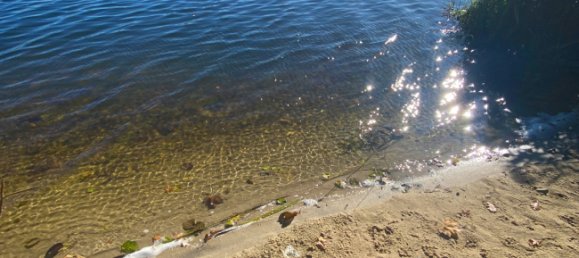 2 bedrooms House in Essen, Germany No. 63456 13