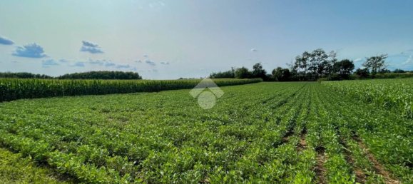 4000m² Land in Casatenovo, Italy No. 73059 19