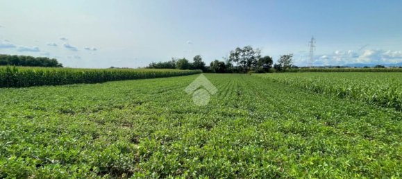 4000m² Land in Casatenovo, Italy No. 73059 10