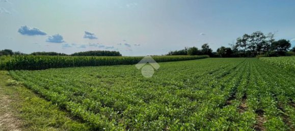 4000m² Land in Casatenovo, Italy No. 73059 11