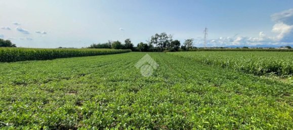 4000m² Land in Casatenovo, Italy No. 73059 7