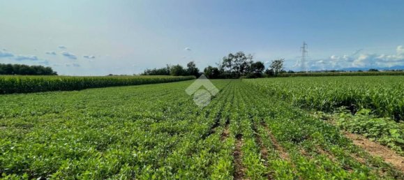 4000m² Land in Casatenovo, Italy No. 73059 13