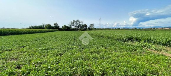 4000m² Land in Casatenovo, Italy No. 73059 6