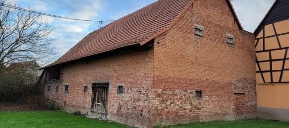 5 غرف نوم منزل في Hoffen, France رقم 153004 3