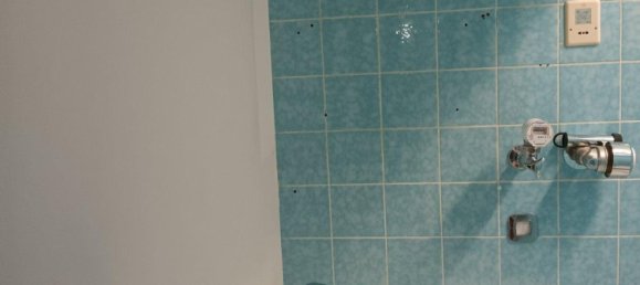 Apartamento de 1 dormitorio en Ludwigshafen am Rhein, Germany No. 220948 6